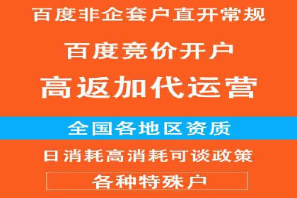 案例剖析：百度SEO推广公司如何助力企业飞速发展